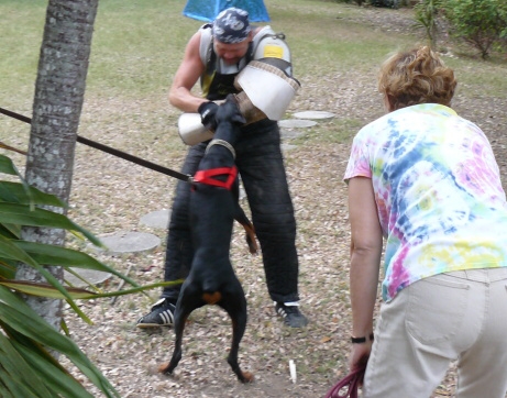 Seminar on Virgin Islands 2008